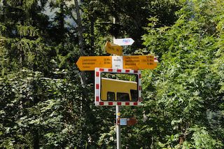 DSC_8236_x.jpg