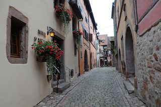 DSC_8405_x.jpg