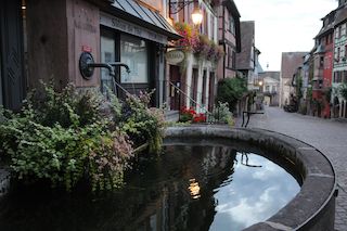 DSC_8709_x.jpg