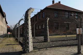 DSC_4967_x.jpg